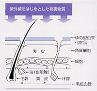 ゆの里由来化粧品