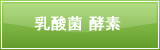 乳酸菌 酵素